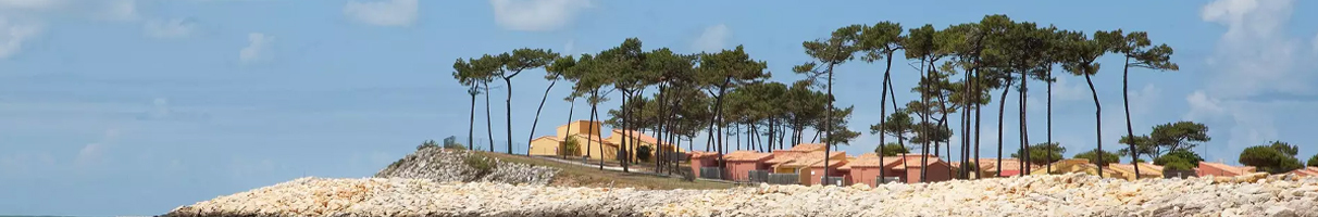 Photo de Club Med La Palmyre