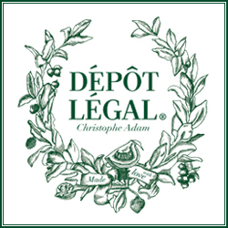 Logo de Dépôt Légal Montparnasse