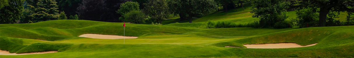 Photo de Le Chalet du Golf - Evian