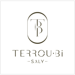 Logo de Terrou Saly