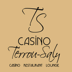 Logo de Terrou Saly